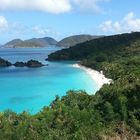 Luxury Beachfront King Suite On Sapphire Beach II East End  Eksteriør bilde